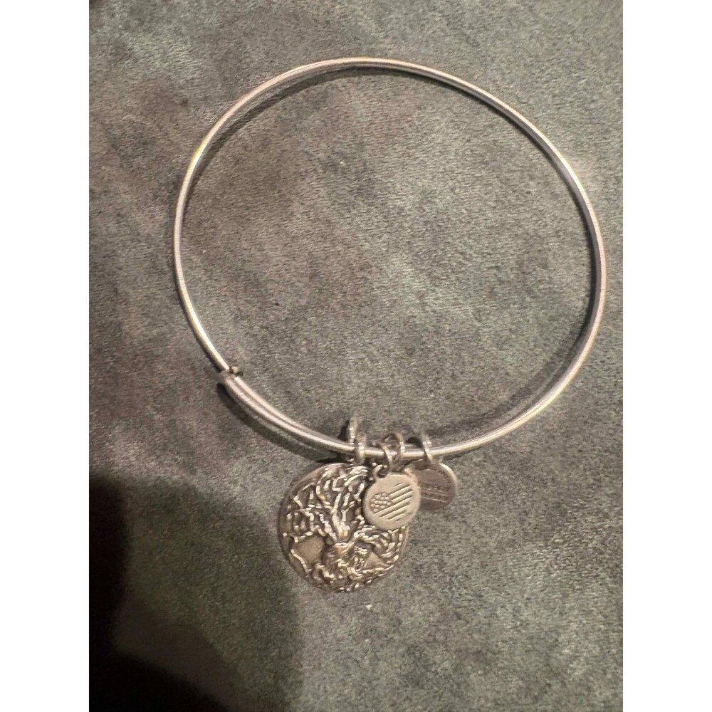 alex and ani animal kingdom charm braclet